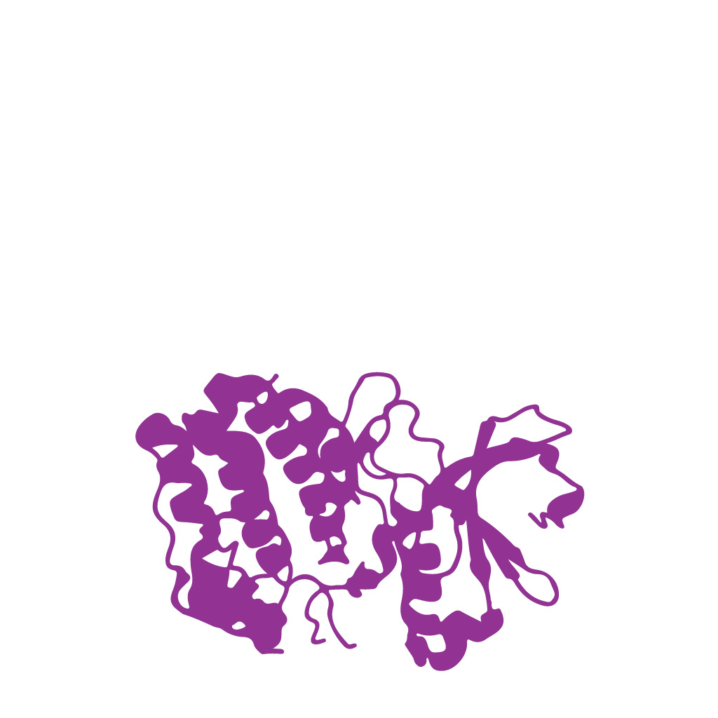 /pictogrammes/protein-targeting-aptamers.jpg
