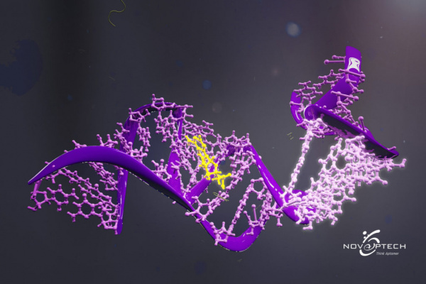 about nucleic acid aptamers in vitro selection process novaptech