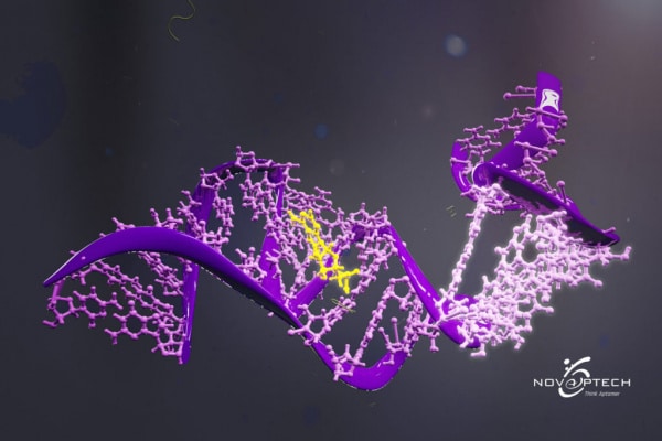 Aptamer SELEX