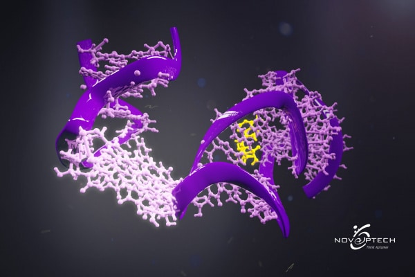 Aptamers vs antibodies