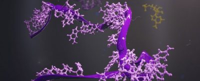 Discover NOVAptamers: Highly Specific Aptamers for Your Projects